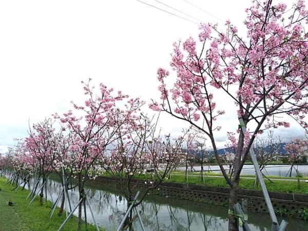 尚閤屋包棟民宿 Wujie Luaran gambar